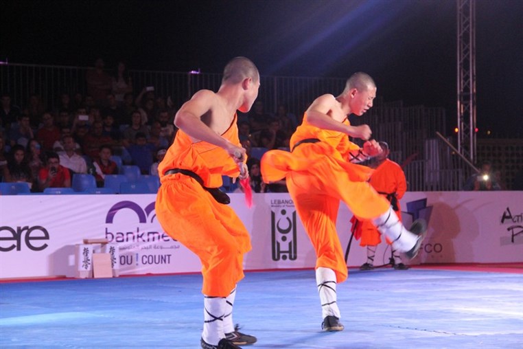 Martial Arts Festival
